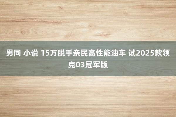 男同 小说 15万脱手亲民高性能油车 试2025款领克03冠军版