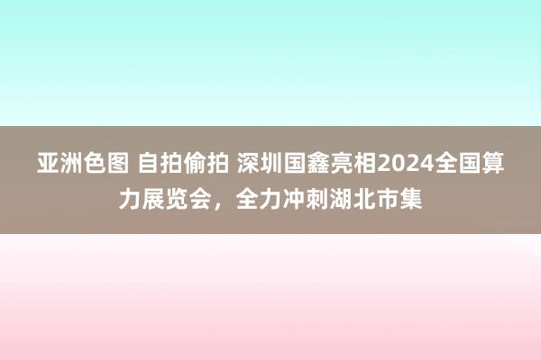 亚洲色图 自拍偷拍 深圳国鑫亮相2024全国算力展览会，全力冲刺湖北市集