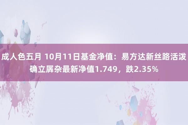 成人色五月 10月11日基金净值：易方达新丝路活泼确立羼杂最新净值1.749，跌2.35%