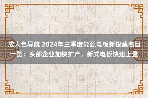 成人色导航 2024年三季度能源电板新投建名目一览：头部企业加快扩产，新式电板快速上量