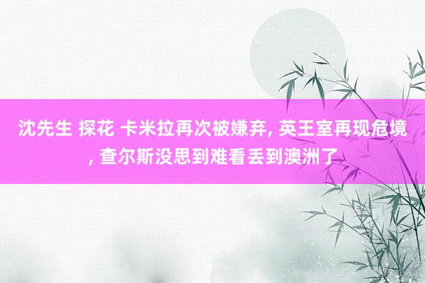 沈先生 探花 卡米拉再次被嫌弃, 英王室再现危境, 查尔斯没思到难看丢到澳洲了