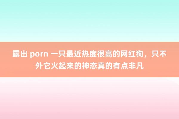 露出 porn 一只最近热度很高的网红狗，只不外它火起来的神态真的有点非凡